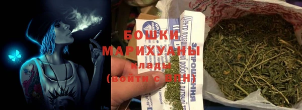 молекула духа Новокубанск