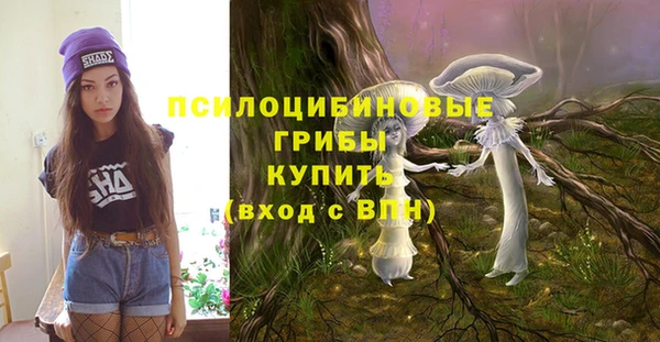 метадон Алексин