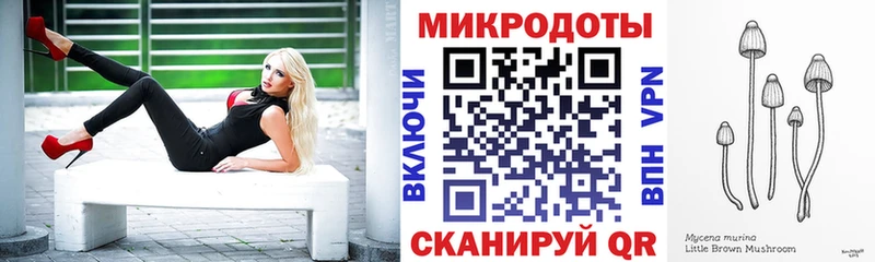 закладки  Динская  Псилоцибиновые грибы мицелий 